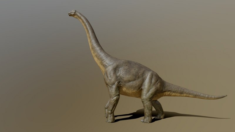 Шуанбаизавр. Shuangbaisaurus anlongbaoensis