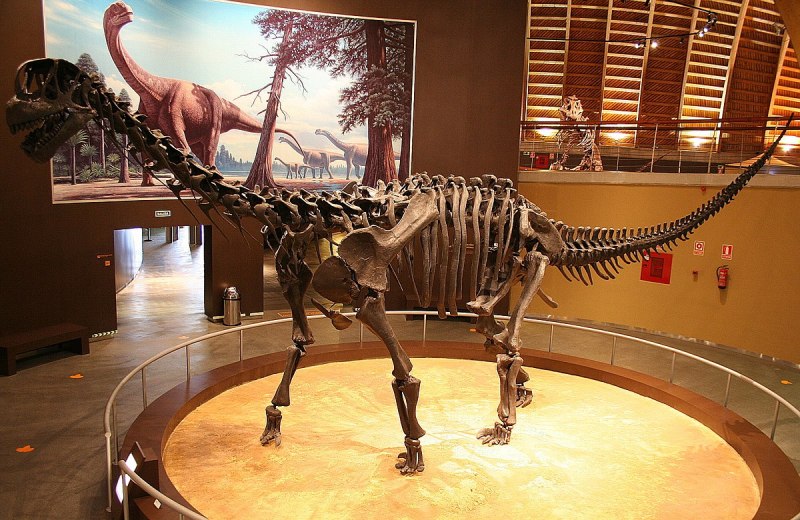 Camarasaurus динозавр