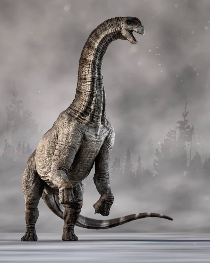 Камаразавр динозавр (65 фото)