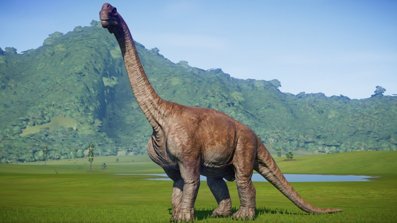 Camarasaurus динозавр