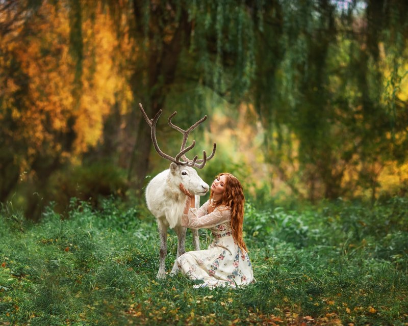 Bawean Deer