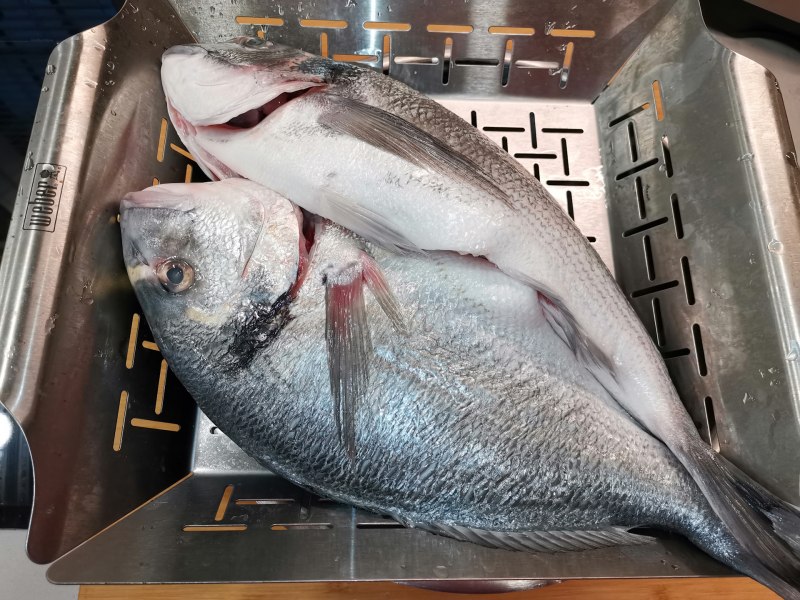 Морской карась дорадо