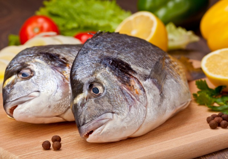 Морской карась дорадо