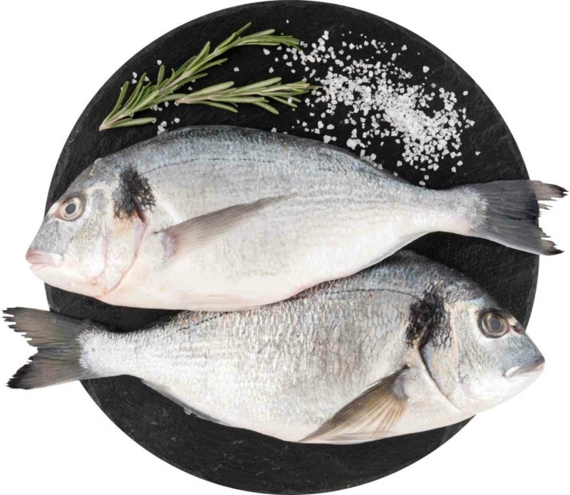Морской карась дорадо рыба