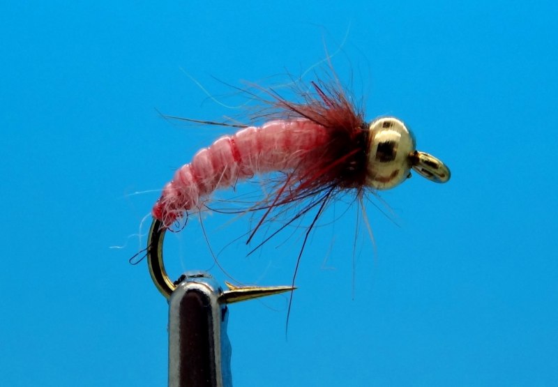 Ручейники (Trichoptera)
