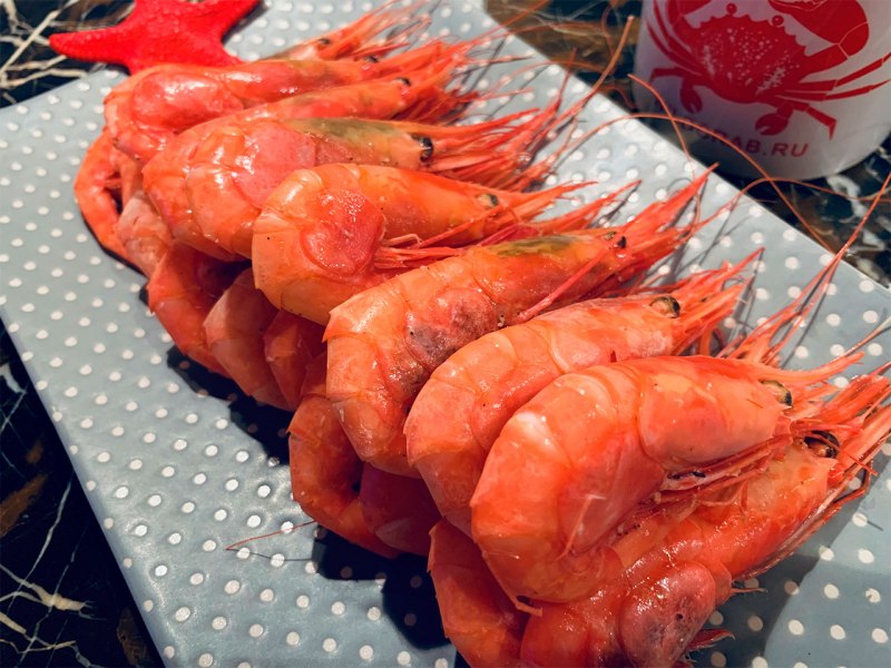 Prawn in the Sea