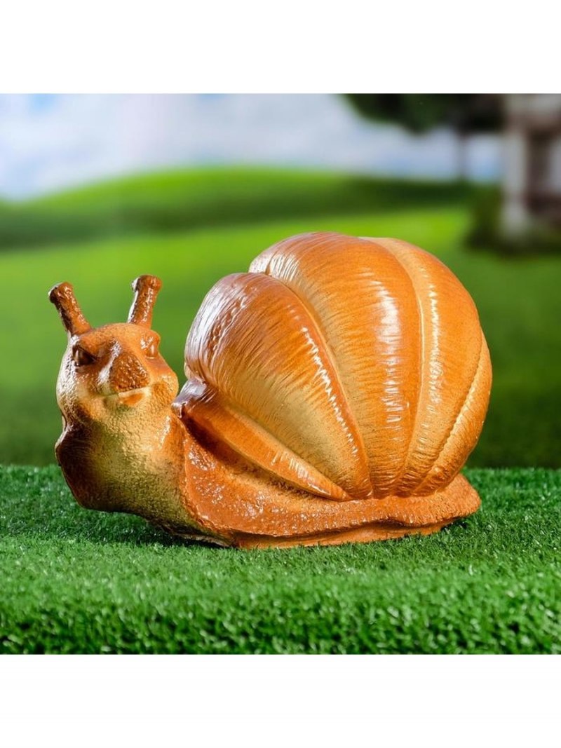 Красивые моллюски