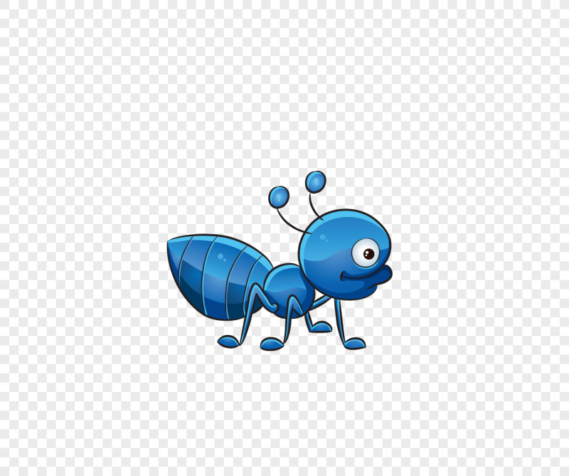 Муравей Rhytidoponera aspersa