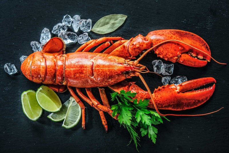 Морепродукты Омар лангуст
