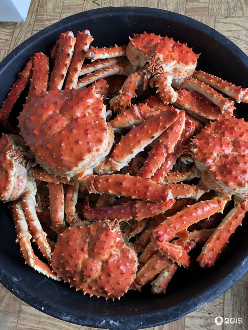 Камчатский Королевский краб