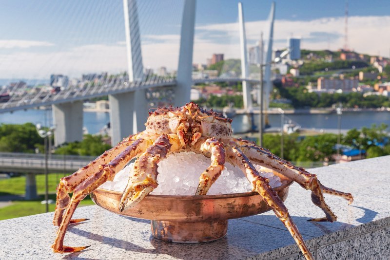 Камчатский колючий краб