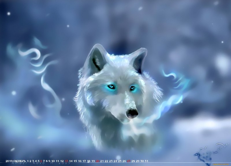 Canis Lupus tundrarum