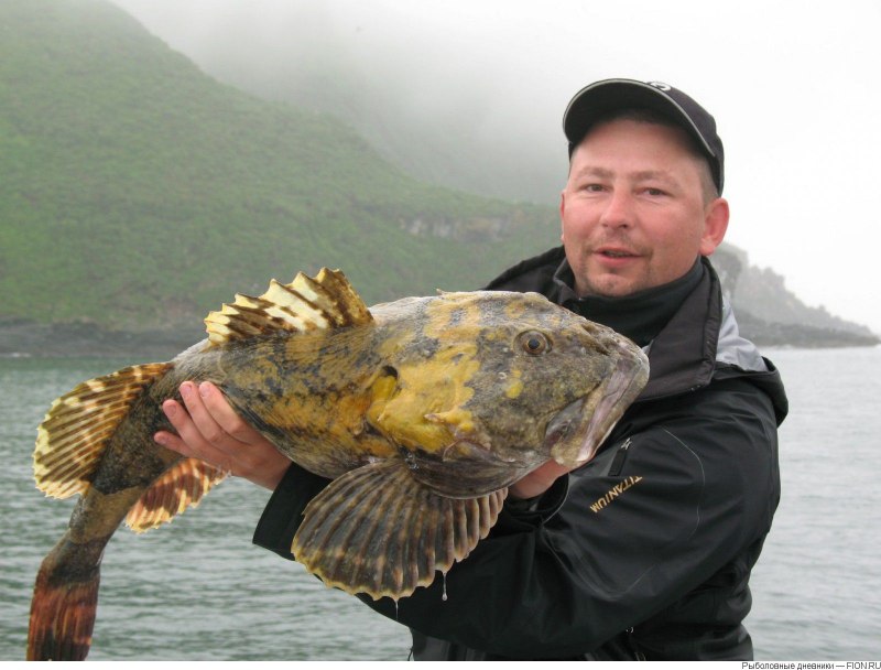 Рыба бычок морской Дальневосточный
