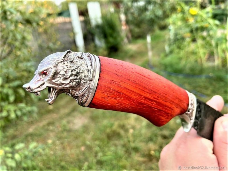 Красный волк