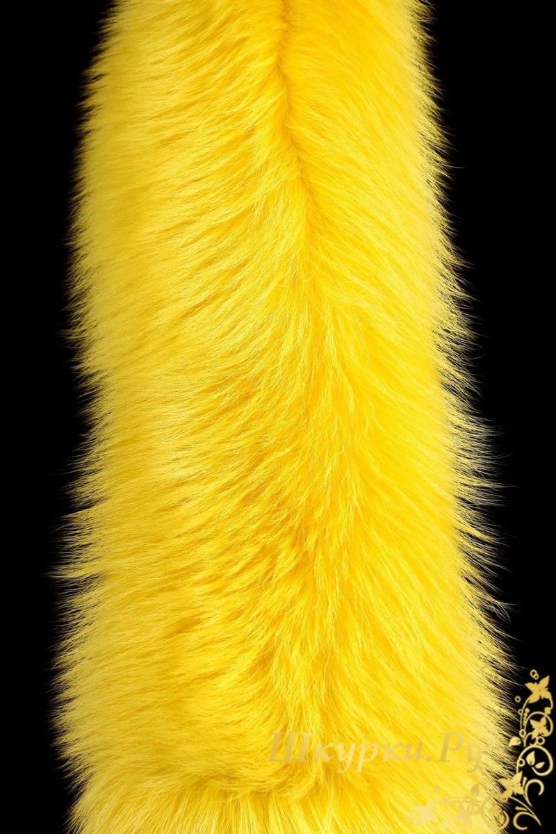 Большой енот
