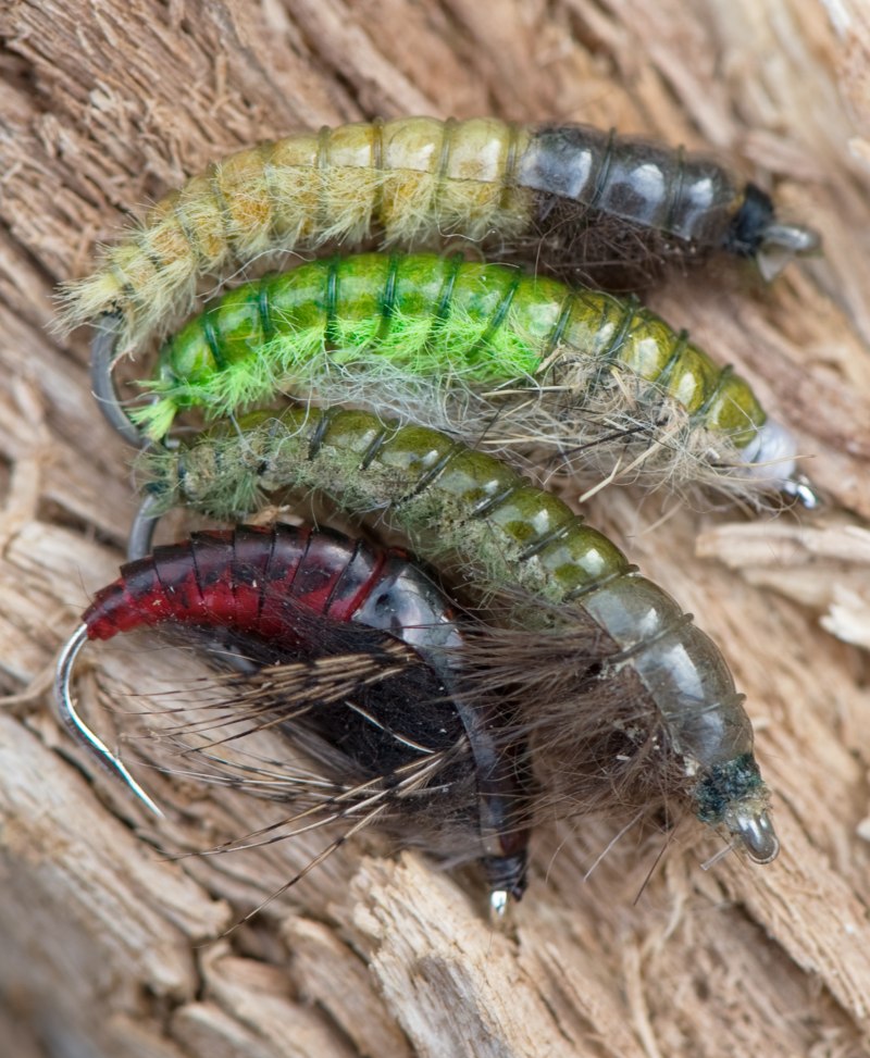Нимфа Caddis Larva