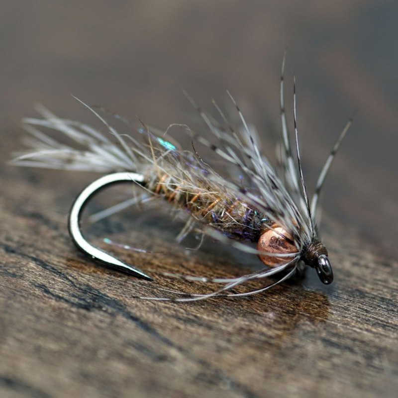 Веснянки (Plecoptera) личинка