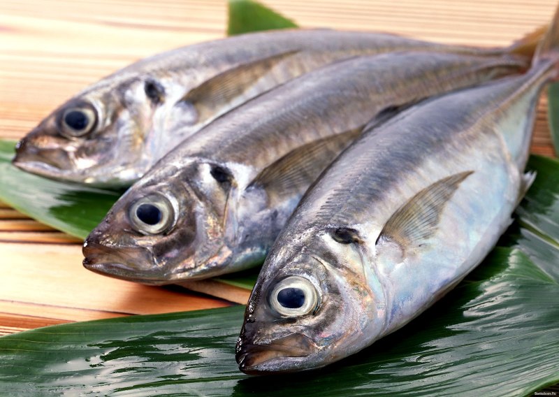 Минтая Alaska Pollock