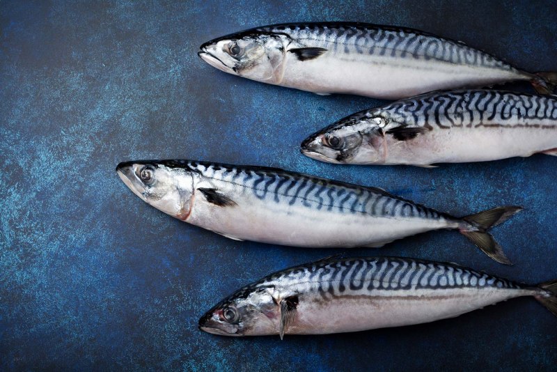 Морская малоротая корюшка