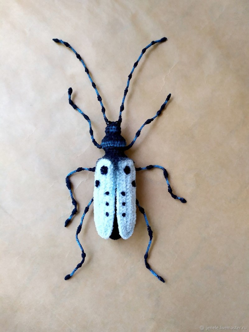 Anoplophora glabripennis