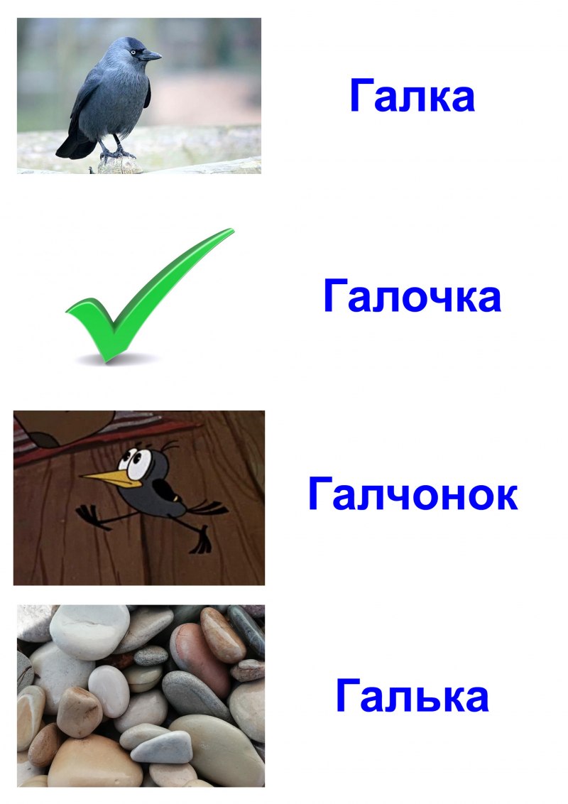 Два Галчонка