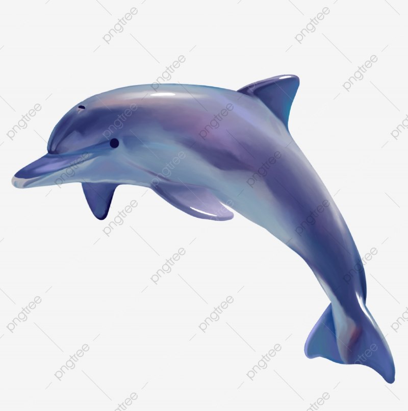 Дельфинчик синий