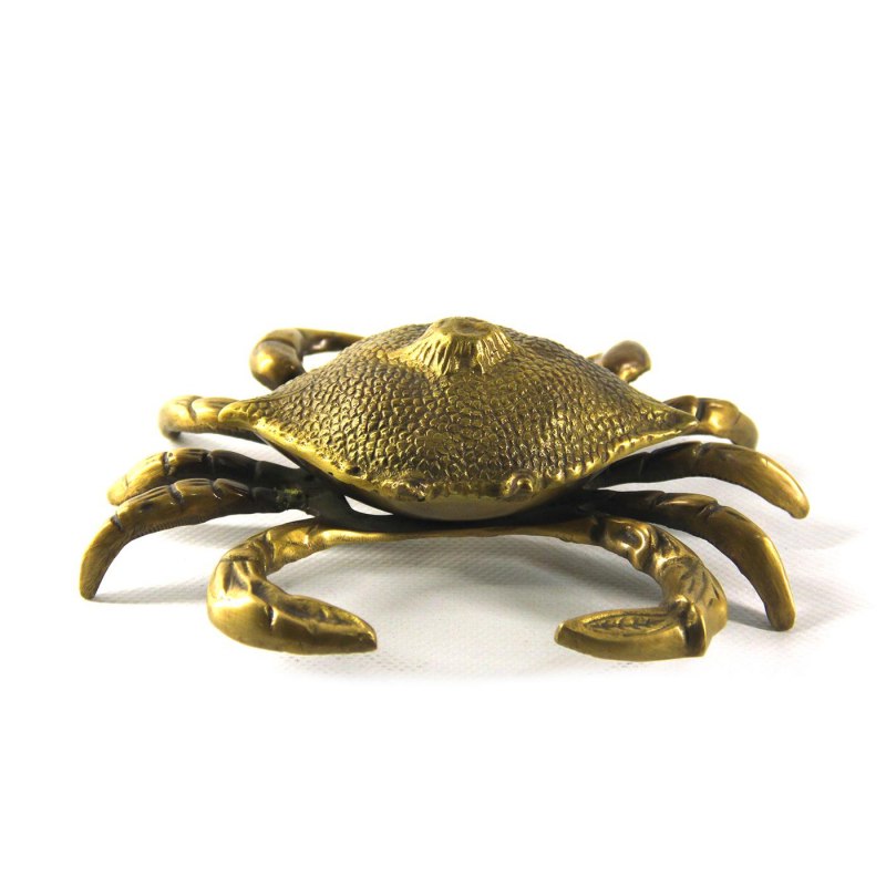 New species of Crabs