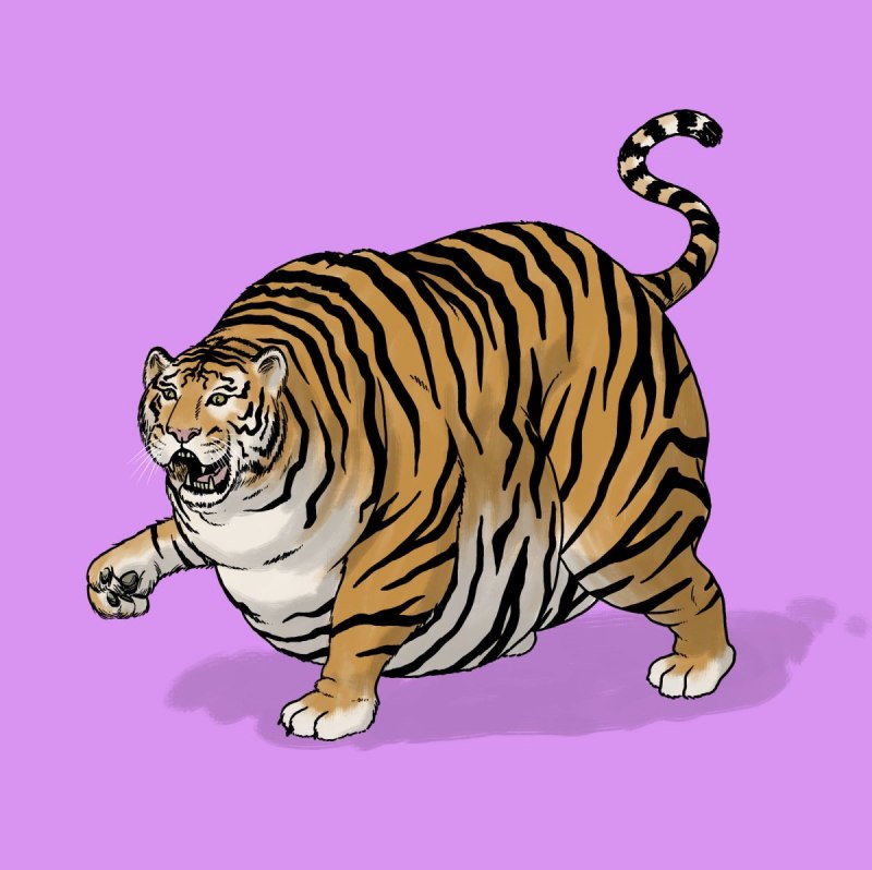 Уссурийский тигр обои 1080x1920