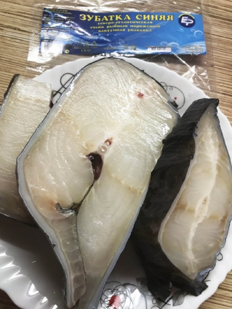 Зубатка атлантическая