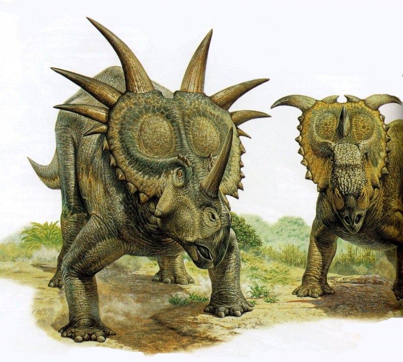ВАГАЦЕРАТОПС (Vagaceratops)