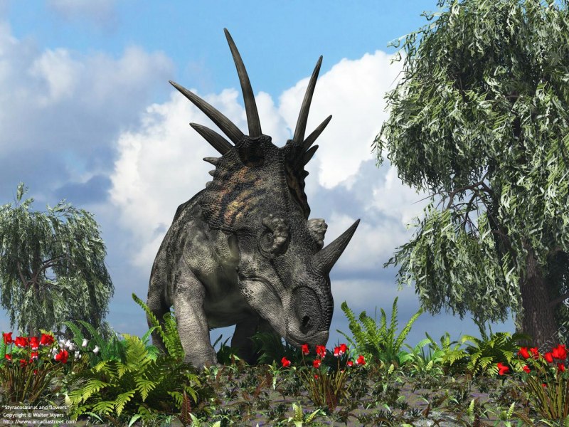 Styracosaurus albertensis