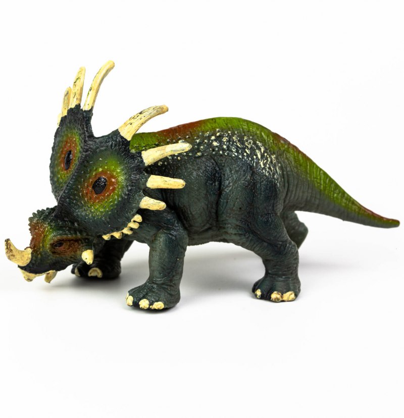 Styracosaurus albertensis