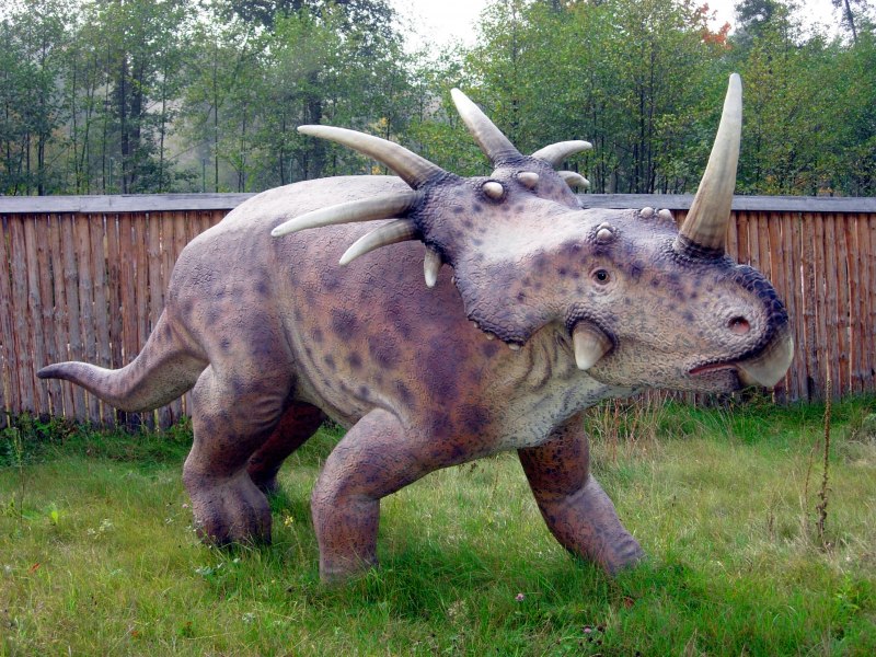Эласмотерий Collecta
