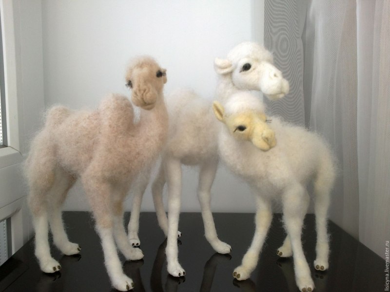 Camel (4 штуки)