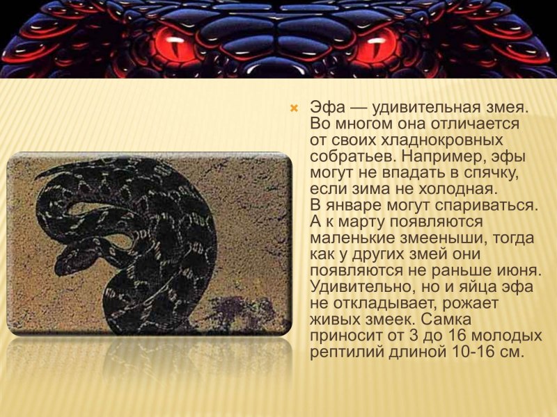 Песчаный полоз змея