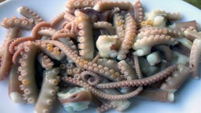 Octopus Minor