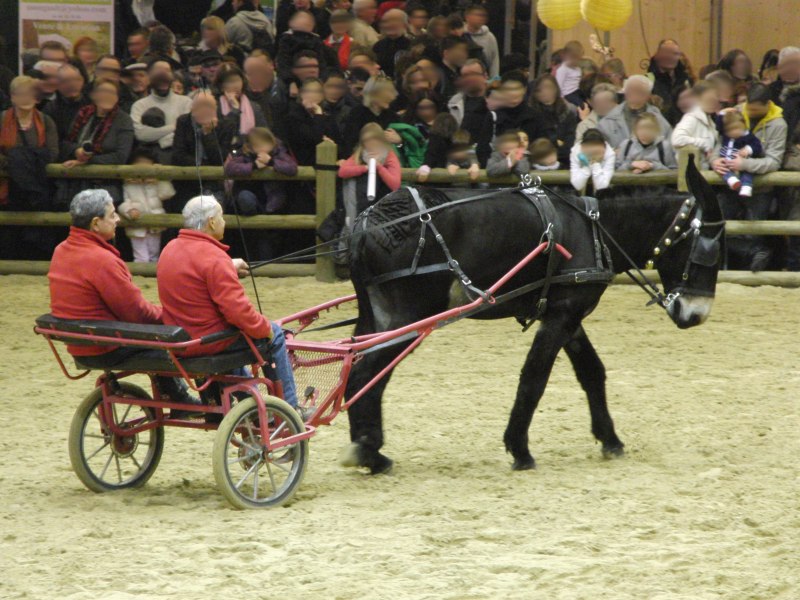 Mule под