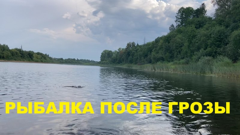 Чебак рыба вяленая