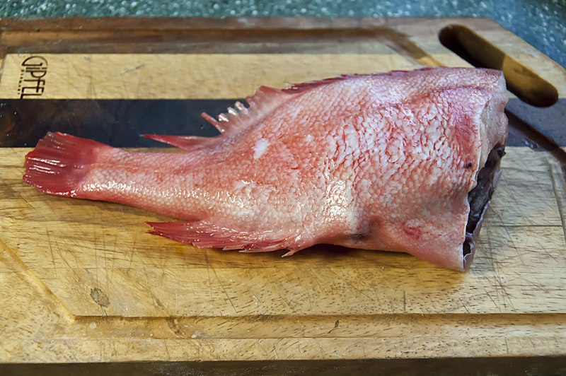 Окунь морской клювач