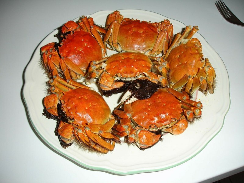 Китайский мохнатый краб