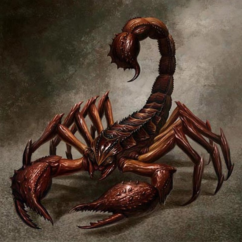 Мегрельский Скорпион