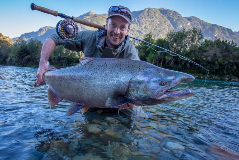 Чавыча Oncorhynchus tshawytscha