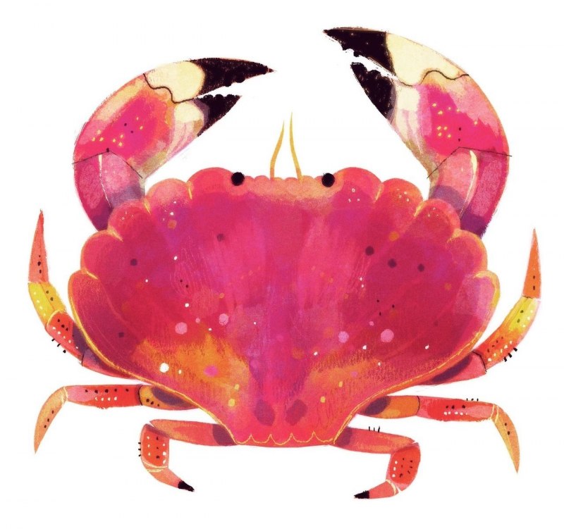 Hermit Crab игрушка