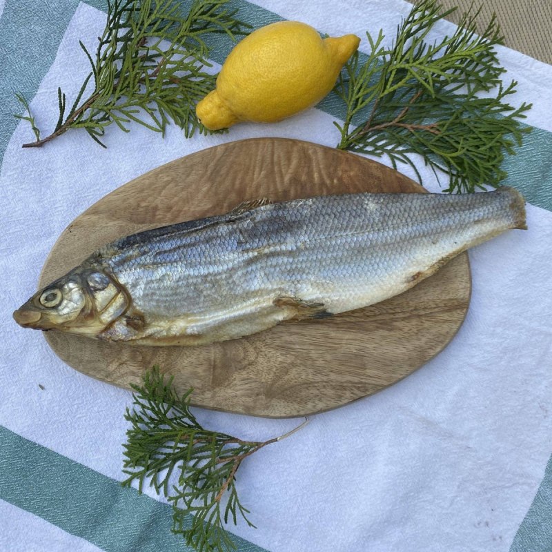 Омуль Арктический