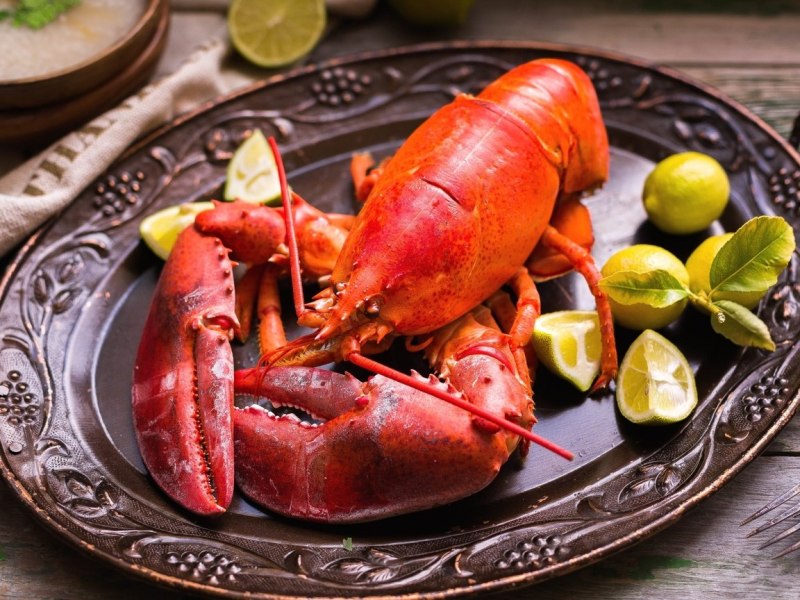 Морепродукты Омар лангуст