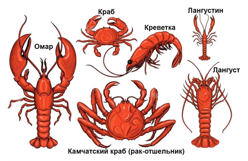 Морепродукты Омар лангуст