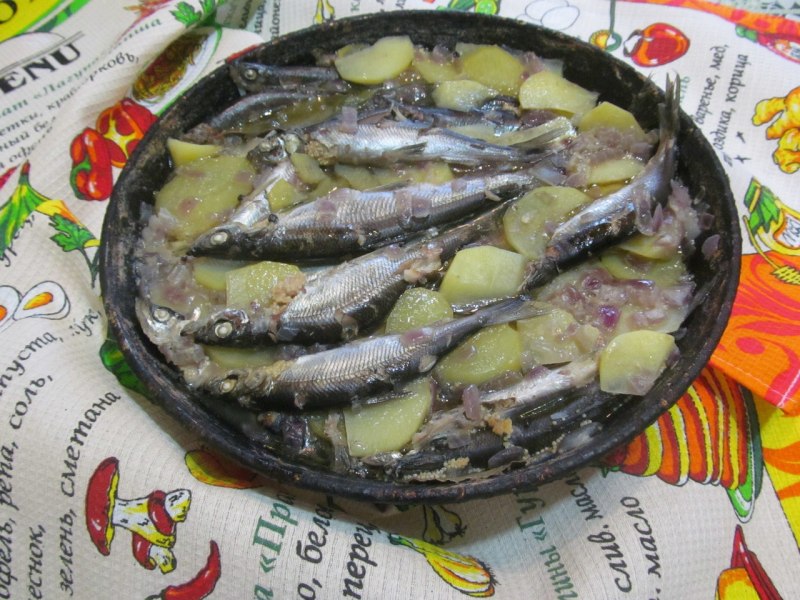 Карельская ряпушка