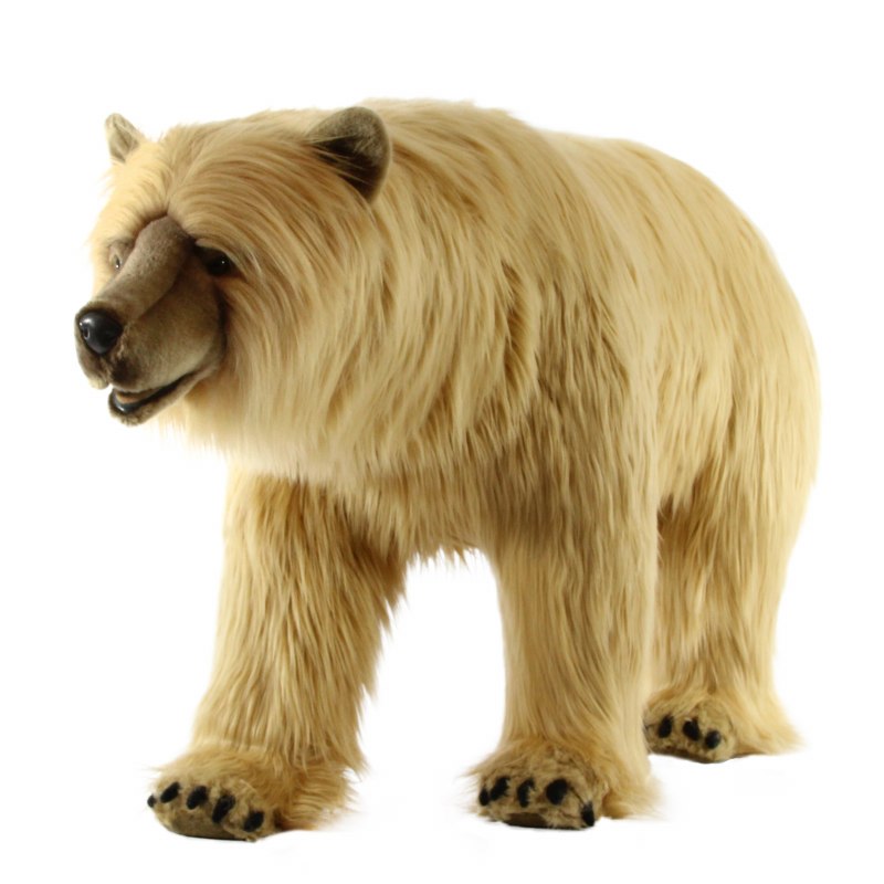 Bear with Drops