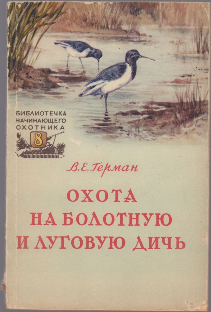 Коростель Бекас