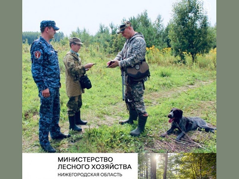 Драхтар лапы перепонки